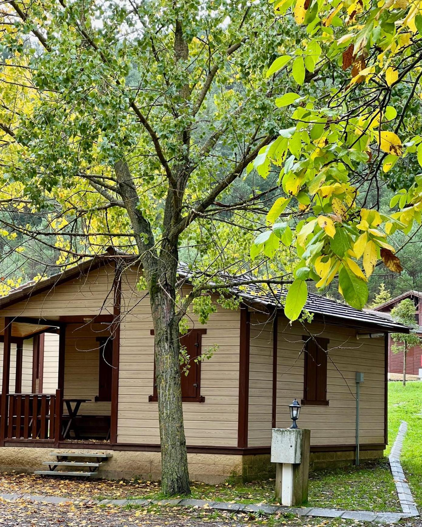 Camping Valle De Hecho Exterior photo