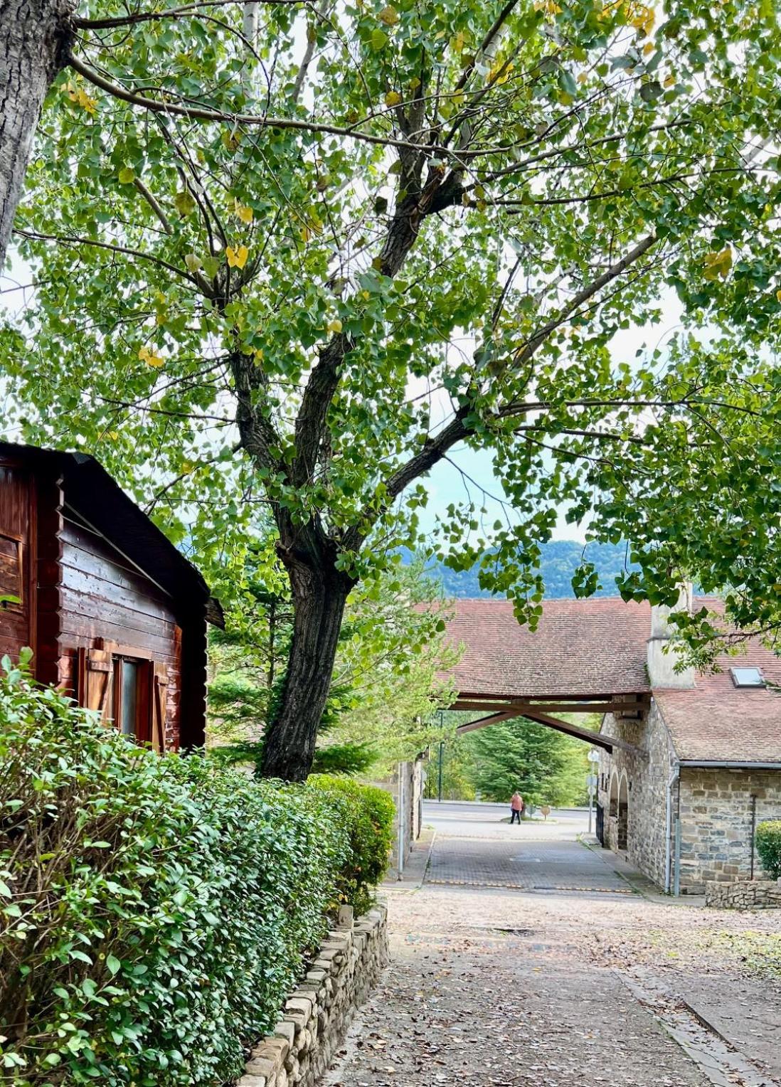 Camping Valle De Hecho Exterior photo